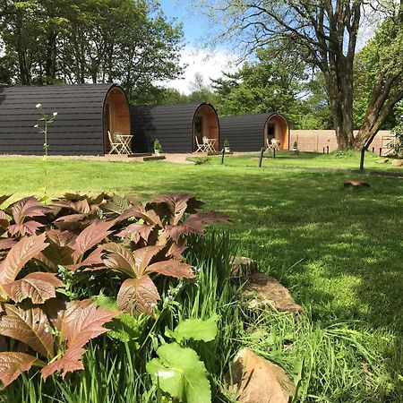 Wilding On A Whim Hotel West Linton Buitenkant foto