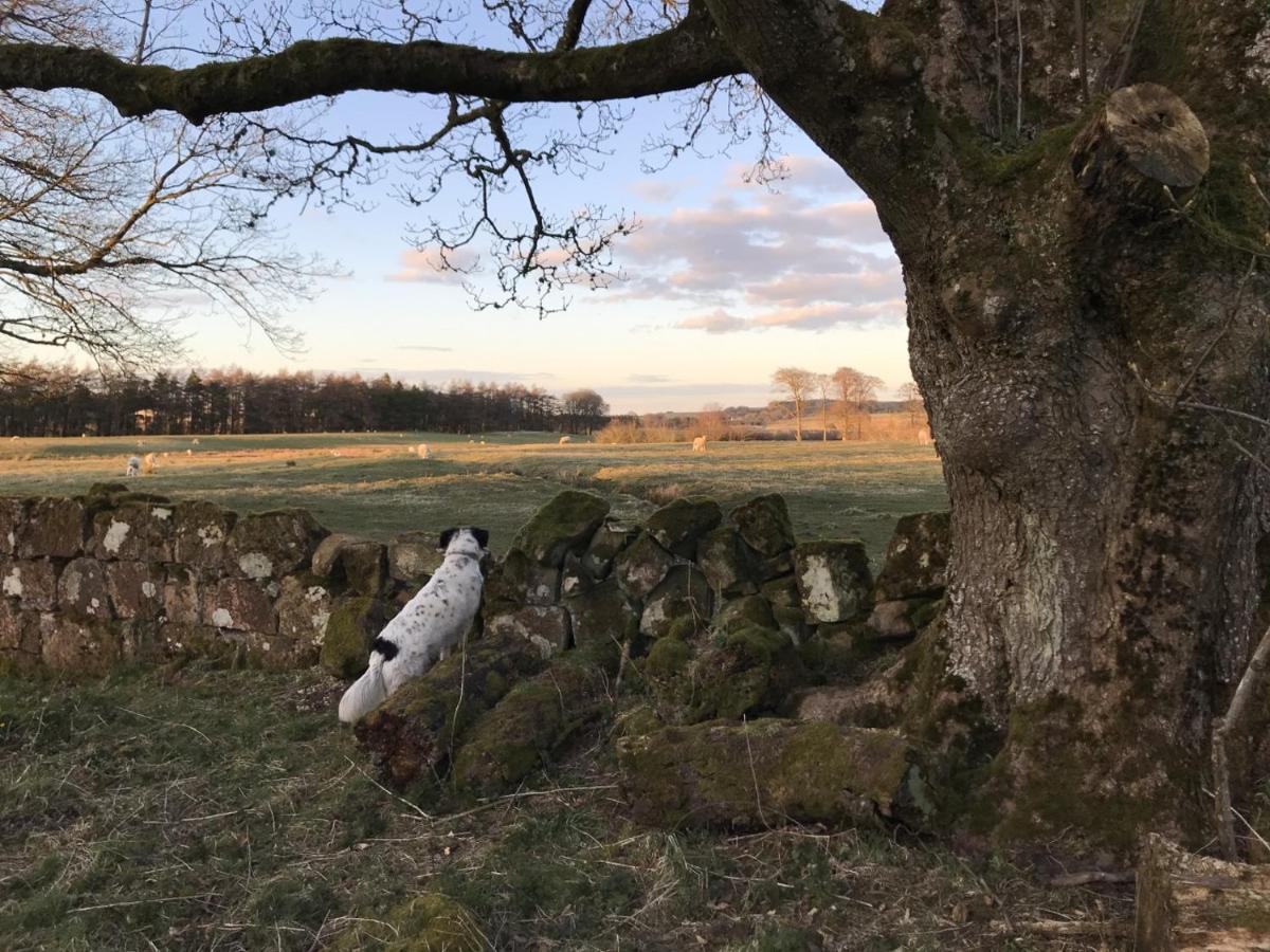Wilding On A Whim Hotel West Linton Buitenkant foto