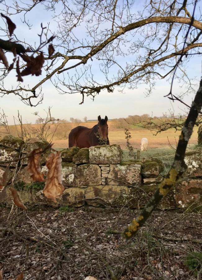 Wilding On A Whim Hotel West Linton Buitenkant foto