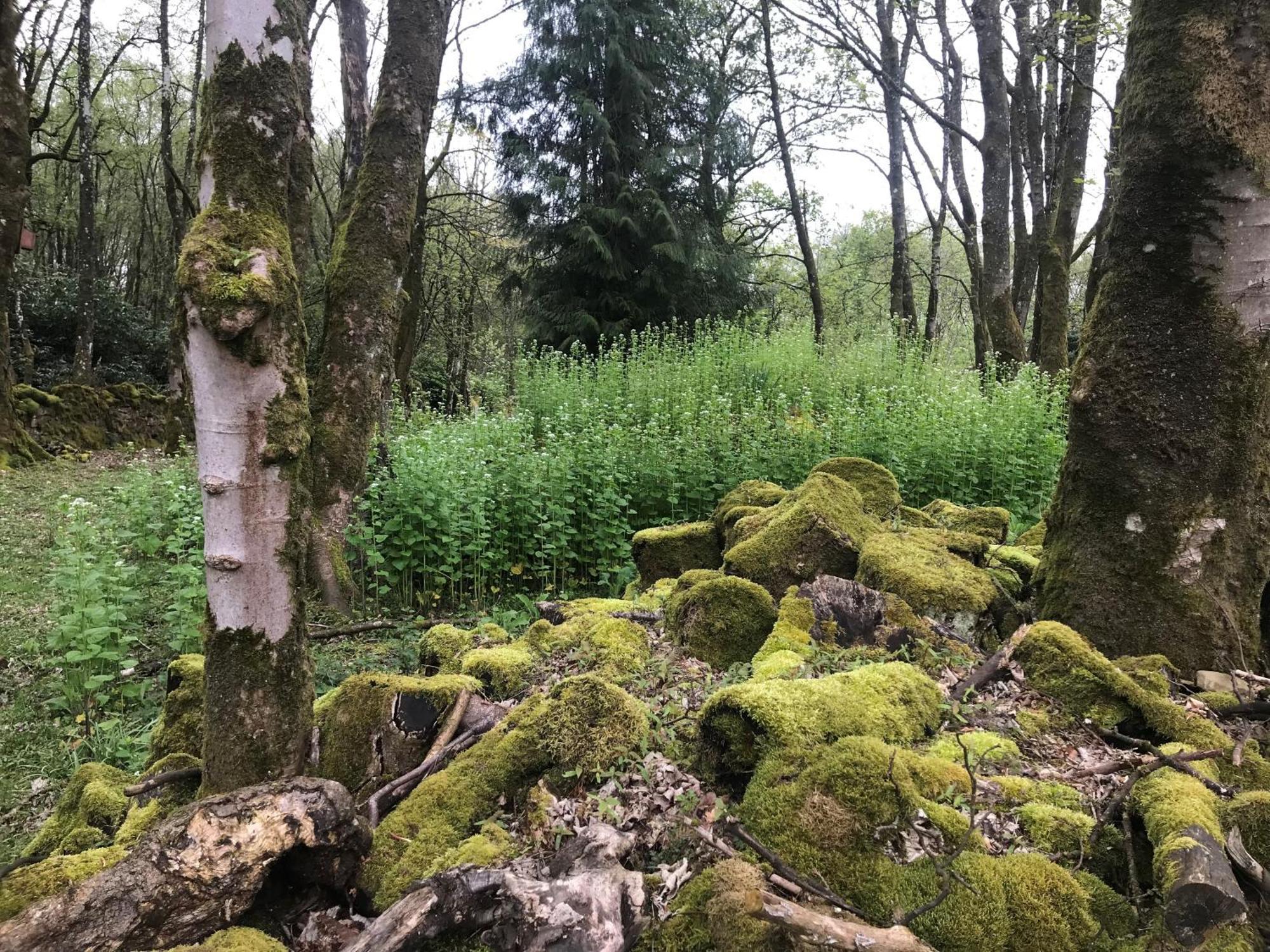 Wilding On A Whim Hotel West Linton Buitenkant foto