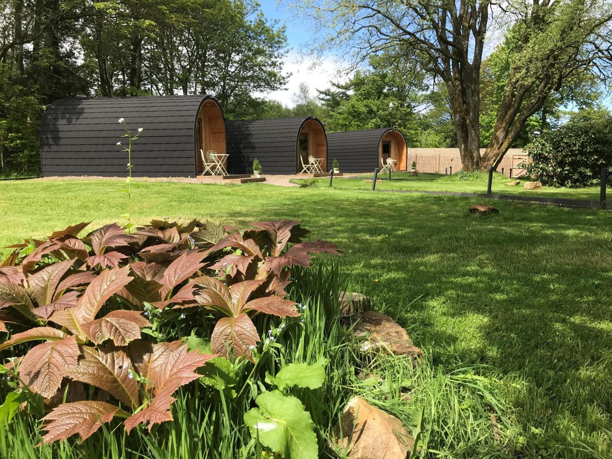 Wilding On A Whim Hotel West Linton Buitenkant foto